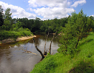 Река Рессета сплав на байдарках Красное  - Чернышено июнь 2009 года фото 3